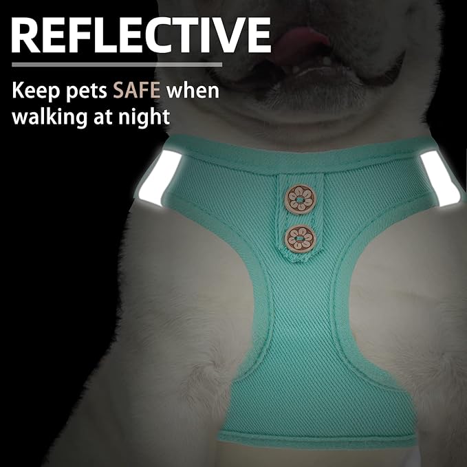 PUPTECK Dog Harness and Leash Set for Small Medium Dogs No Pull Step-in Soft Mesh Puppy Cat Vest Harnesses Reflective at Night, Denim Green L