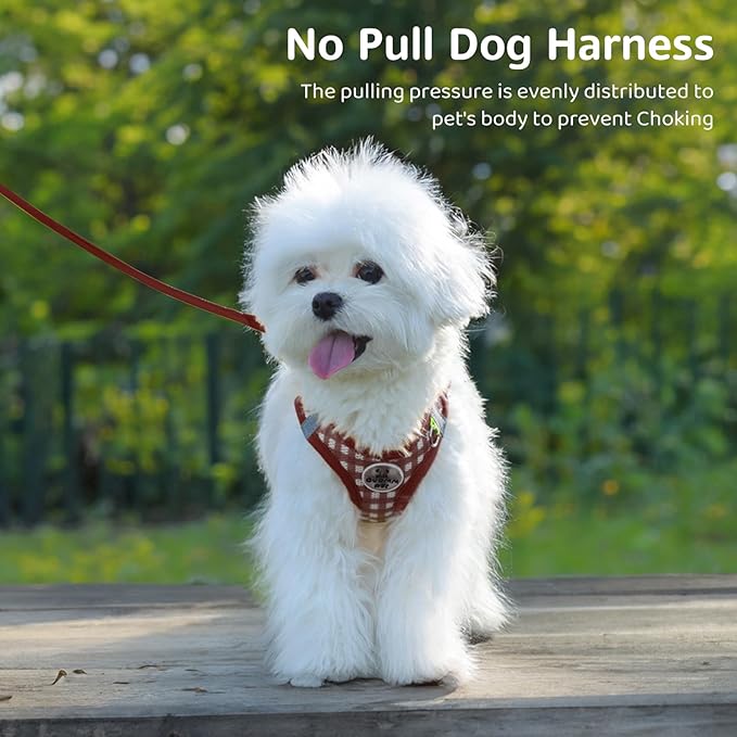 Gyuzh Dog Harness and Leash Set,Soft Mesh Breathable Small Dog Harness,Reflective Adjustable Puppy Harness,No Pull Pet Harness for Small Dogs and Cats
