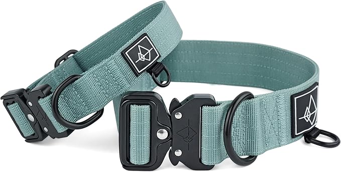 Made to ROAM Premium Dog Collar - Adjustable Heavy Duty Nylon Collar with Quick-Release Metal Buckle (Florida Seaside, Classic Size 1)