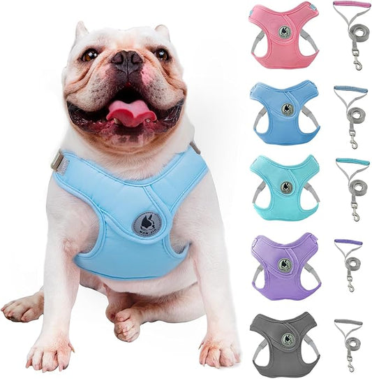 Dog Harness with Leash Set, No-Pull Pet Harness with 1 Leash Clips, Adjustable Soft Padded Pet Vest for Small Medium Dogs No Pull, Puppy Harness and Leash Set