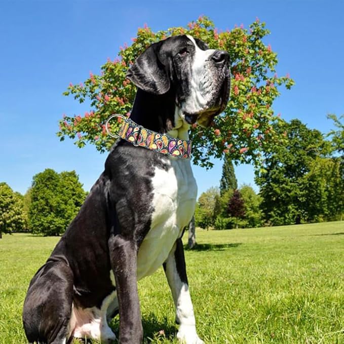 Martingale Dog Collar 1.5 Inch Wide - Heavy Duty Adjustable No-Pull Training Collar for Medium/Large Dogs, Cashew Flower Design Durable Nylon Collar (Medium)