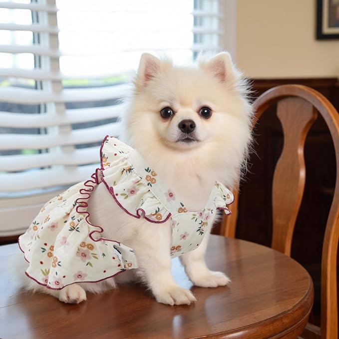 CuteBone Cotton Dog Dress Flowers with Leash Ring & Sleeve Ruffles, Soft & Breathable, Stylish Pet Clothes Outfit for Small Dogs, Comfortable & Easy to Wear CFX03L