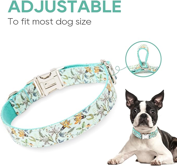 Timos Dog Collar, Adjustable Soft Dog Collar for Small Medium Large Dogs, Patterned Puppy Collars with Quick Release Buckle for Boy and Girl Female Dogs (Light Cyan, Small)