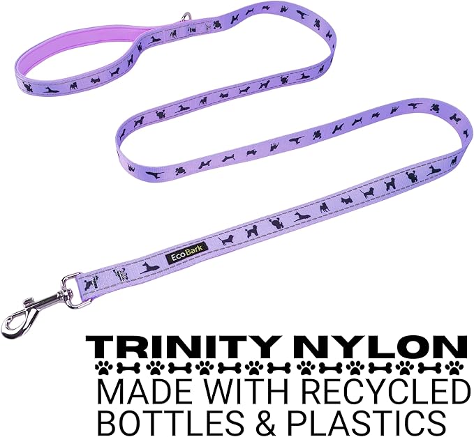 EcoBark Dog Leash - 4 FT / 5 FT / 6 FT Reflective Dog Leash- Eco-Bright Dog Leashes with Padded Handle - Strong Heavy Duty Dog Leash - Nylon Dog Leash for Small and Medium Dogs (Lavender Dog Leash)