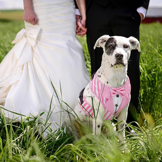 Kuoser Dog Tuxedo Harness, Adjustable Dog Harness No Pull for Small Medium Dogs, Dog Wedding Suit with Bow Tie Party Costume Pink M