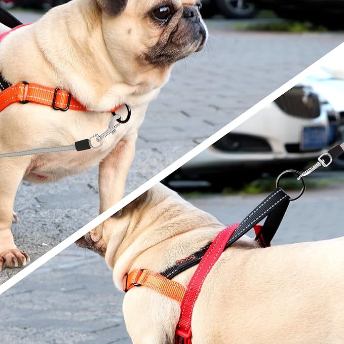 Didog No Pull Dog Harness with Soft Padded Handle, Quick Fit & Lightweight Adjustable Vest Harness, Easy for Training Walking for Small & Medium and Large Dogs(Red,M)