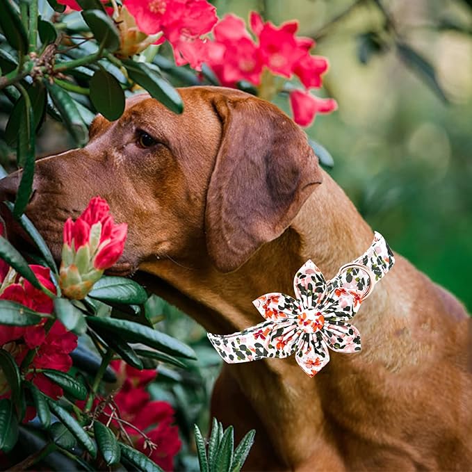 Elegant little tail Dog Collar, Dog Collar with Bowtie, Spring Flower Cute Pink Pet Collar Bow Dog Collars Adjustable Dog Collar for Small Dogs