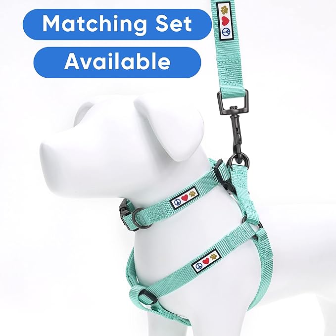 Pawtitas Step-in Dog Harness Solid Color Vest for Training & Walking, Puppy & Medium Dog Teal