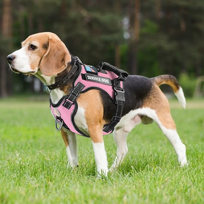 Cymiler Service Dog Vest,No-Pull Dog Harness and Leash Set,Adjustable Oxford Reflective Service Dog Vest Harness with Handle for Outdoor Walking Training,Easy Control for Small Medium Large Dogs