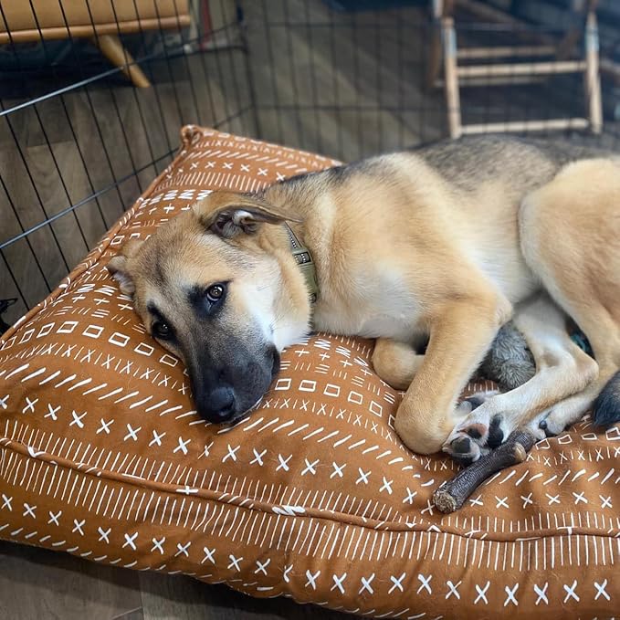 Molly Mutt Medium to Large Dog Bed Cover - Everywhere - Measures 27”x36”x5’’ - 100% Cotton - Durable - Breathable - Sustainable - Machine Washable Dog Bed Cover