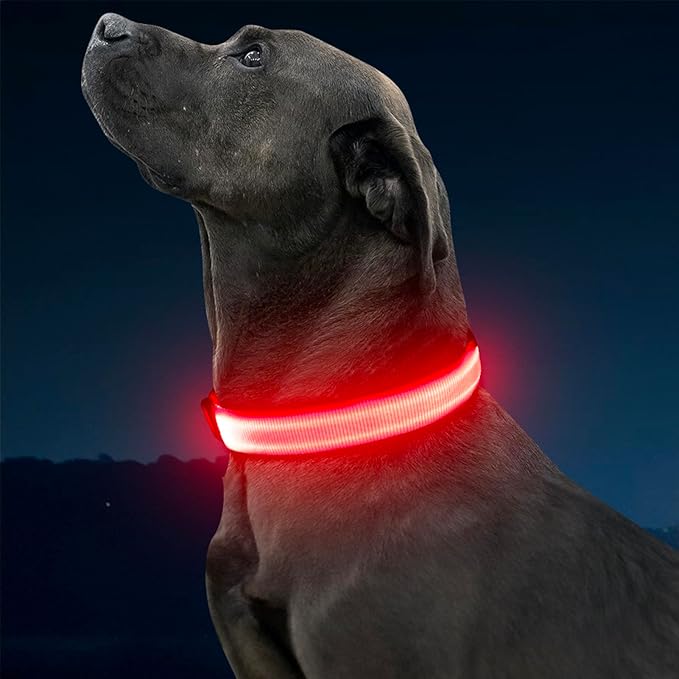Illumifun Light Up Dog Collar - USB Rechargeable LED Dog Collar Glow in The Dark, Adjustable Pet Collar Light for Night Walking (Red, Medium)