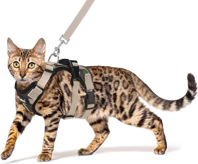 PUPTECK Cat Harness and Leash Set Escape Proof for Walking, Breathable Mash Vest Adjustable Harness for Cats Puppy Small Animals, Reflective at Night, Camouflage Small