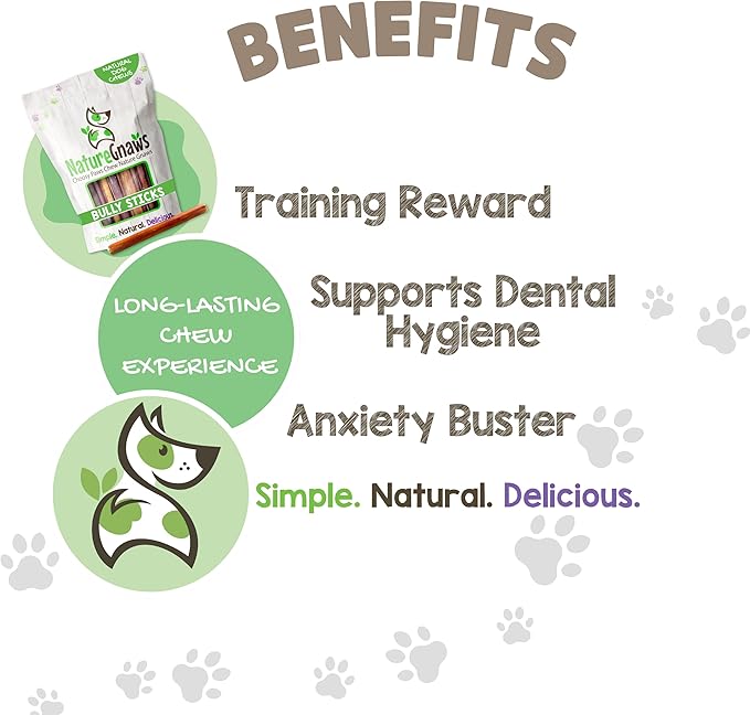 Nature Gnaws Small Bully Sticks for Dogs 5-6" (5 Count) - Long Lasting for Light Chewers and Puppies - Natural Thin Beef Dog Chew Bones - Rawhide Free