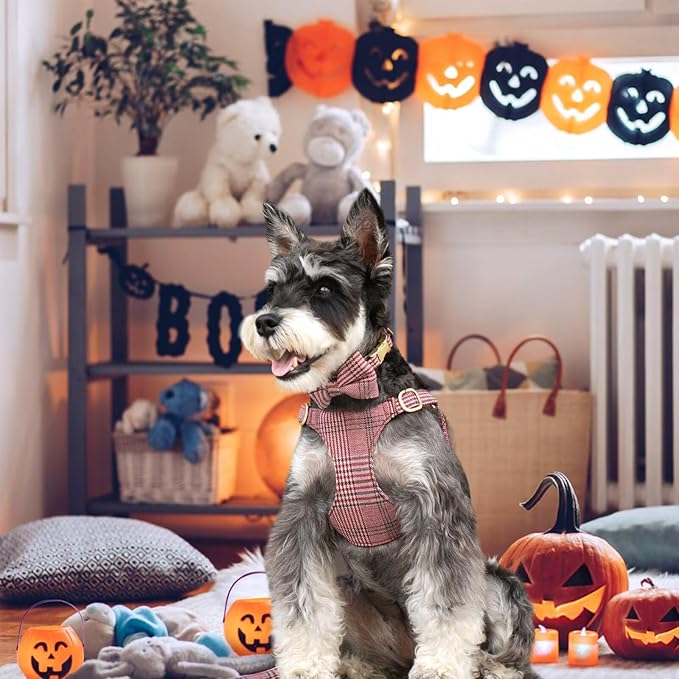 Beirui Cute Small Dog Harness Collar and Leash Set with Bowtie, Soft Adjustable Plaid Puppy Harness for Small Sized Dogs Cats Walks Parties and Photoshoots(Maroon,XS:Chest 13-18")