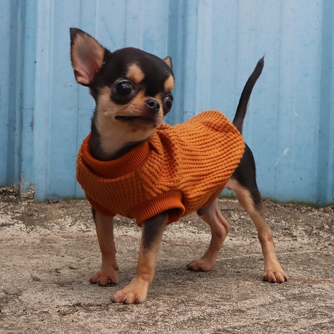 LOPHIPETS Lightweight Dog Sweaters for Puppy Small Dogs Puppy Chihuahua Yorkie Clothes-Yellow/XS