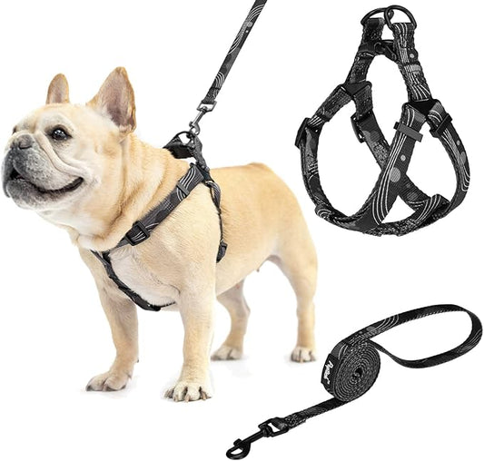 PUPTECK No Pull Dog Harness Soft Adjustable Basic Nylon Step in Puppy Vest Outdoor Walking with Leash Printed Black