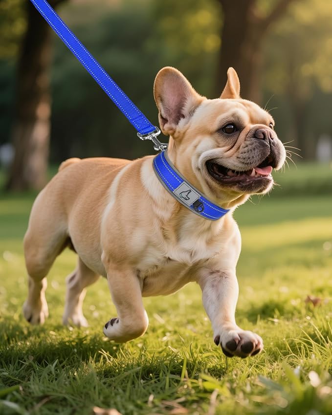 Joytale Dog Collar for Small Dogs, Neoprene Padded and Adjustable, Reflective Wide Heavy Duty Pet Collars with Durable Metal Belt Buckle for Walking, Navy Blue, S