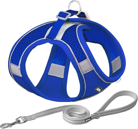 AIITLE Step in Dog Harness and Leash Set - Spring No Pull Escape Proof Vest Harnesses with Soft Mesh and Reflective Bands, Adjustable Pet Outdoor Harnesses for Small and Medium Dogs Royal Blue M