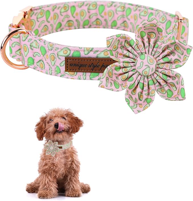 Unique style paws Dog Collar with Flower Tie Pink Avocado Summer Dog Collar for Small Medium Large Dogs with Adjustable Metal Buckle -XL