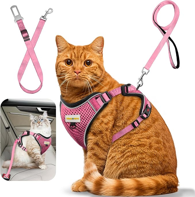Cat Harness and Leash for Walking, Retractable Cat Harnesses and Leash Set Escape Proof, Breathable Soft Kitten Small Large Harness for Travel Training and Walking, XXS