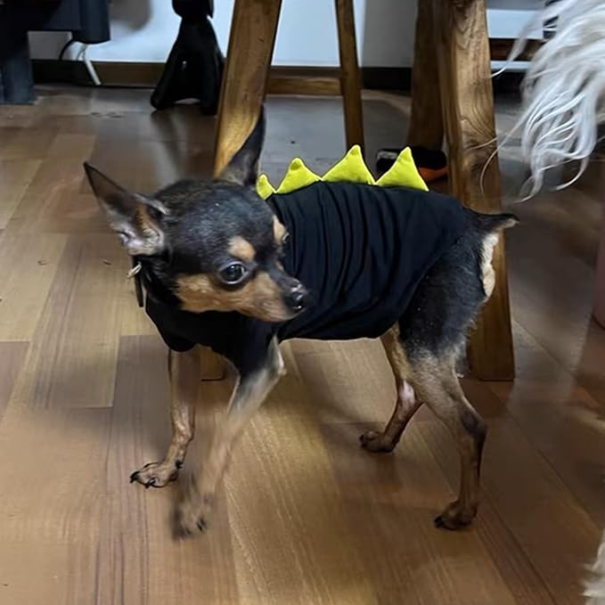 Dinosaur Design Sphynx Hairless Cat Clothes Cute Breathable Summer Cotton Shirts Cat Costume Pet Clothes,Round Collar Kitten T-Shirts with Sleeves, Cats & Small Dogs Apparel (XL (9-12 lbs), Black)