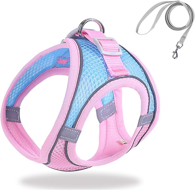Cat Harness and Leash Set Soft Adjustable Escape Proof Cat Leash Breathable Comfortable Vest Easy to Wear Kitten/Small Dogs Harness for Outdoor Walking Blue XXS