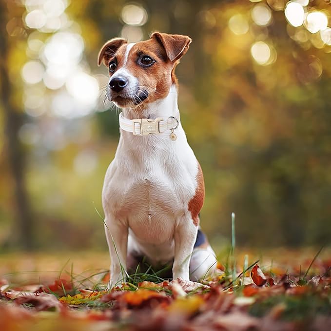Cotton Dog Collar, Cute Orange Summer Puppy Collar with Plastic Buckle, Adjustable Soft Natural Fabric Pet Collar for Small Medium Large Dogs