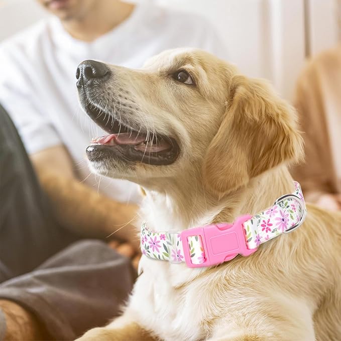 Small Dog Collar for Girl, Dog Collar with Flowers Patterns, Adjustable Comfy Soft Durable Pet Collar for XS Small Medium Large Dogs (Floral XS)