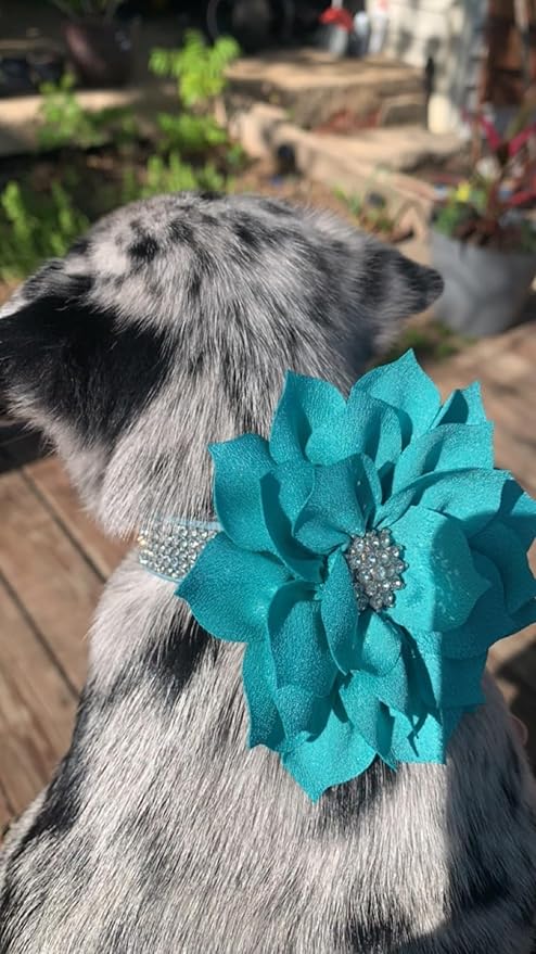 Rhinestone Dog Collar, Cute Dazzling Sparkling Soft Suede Leather Dog Cat Rhinestone Collar Crystal Diamond Pet Dog Puppy Collar (Blue5, XXS), XX-Small