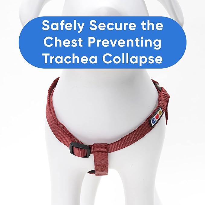 Pawtitas Solid Color Step in Dog Harness or Vest Harness Dog Training Walking of Your Puppy Harness Extra Small Dog Harness Marsala Brown Dog Harness