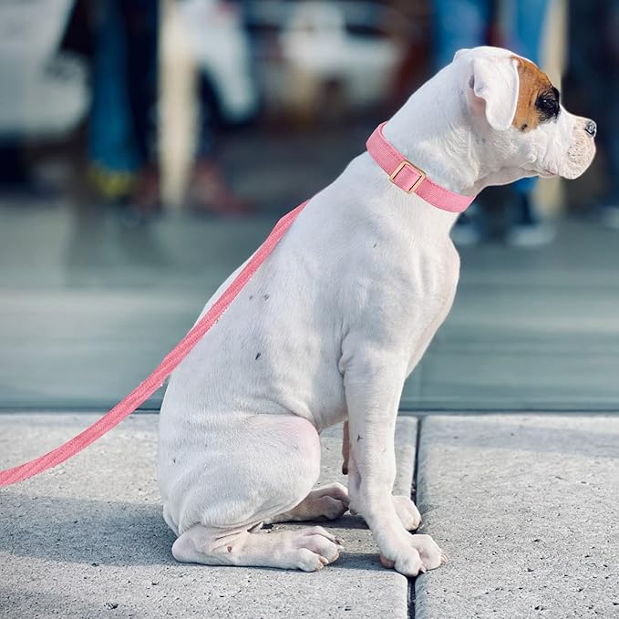 Soft Dog Collar with Metal Buckle Adjustable Durable Comfort Cotton Corduroy Collars for Large Medium Small Dogs Velvet Dog Collars, Pink