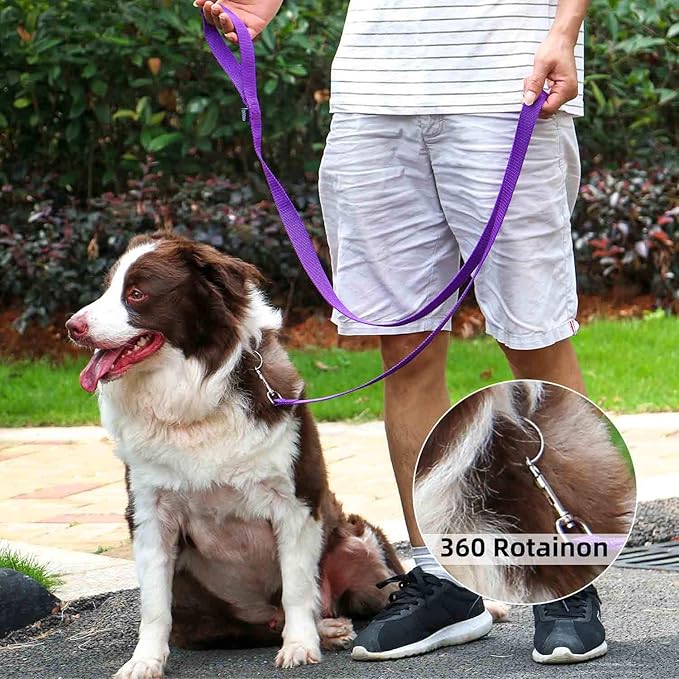 AMAGOOD 6 FT Puppy/Dog Leash, Strong and Durable Traditional Style Leash with Easy to Use Collar Hook, Great for Small, Medium and Large Dogs (3/4 in x 6 ft, Purple)