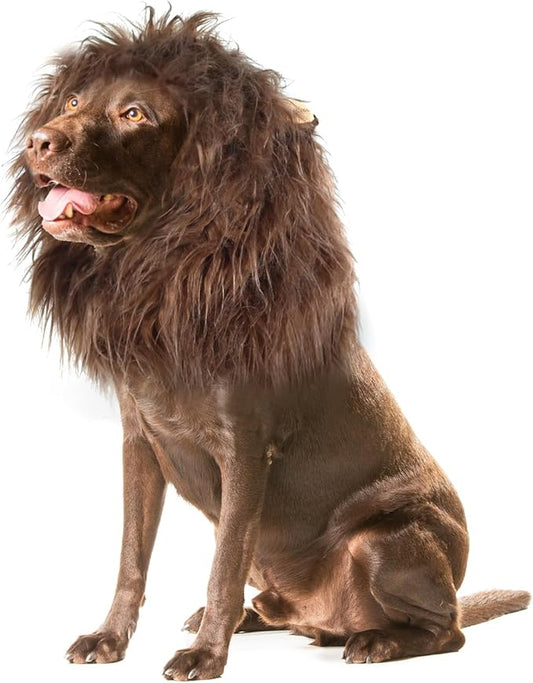 Onmygogo Lion Mane Wig for Dogs with Ears, Funny Pet Costumes for Halloween Christmas (Size M, Coffee)