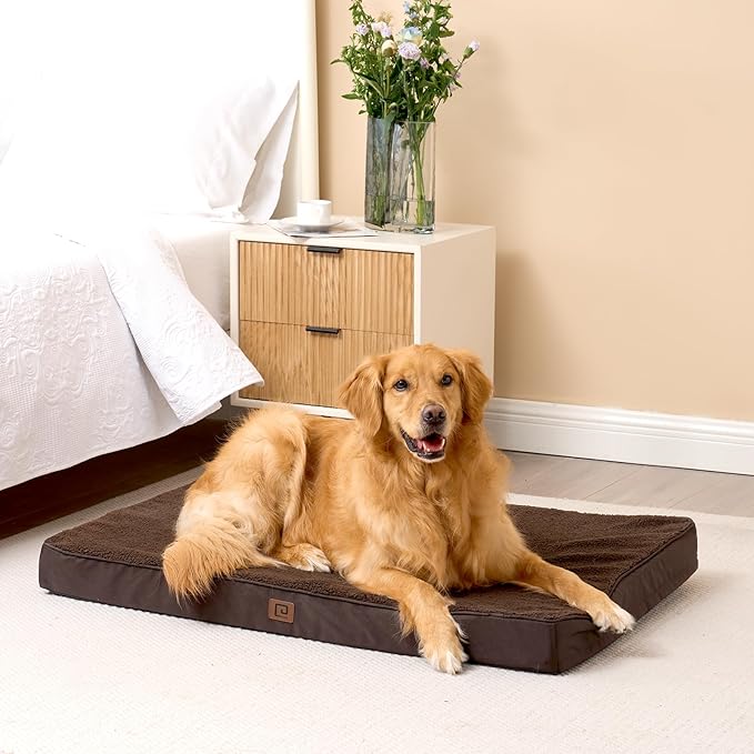 EHEYCIGA Orthopedic Medium Dog Beds for Small Dogs with Removable Washable Cover for Crate, Brown, 30x20