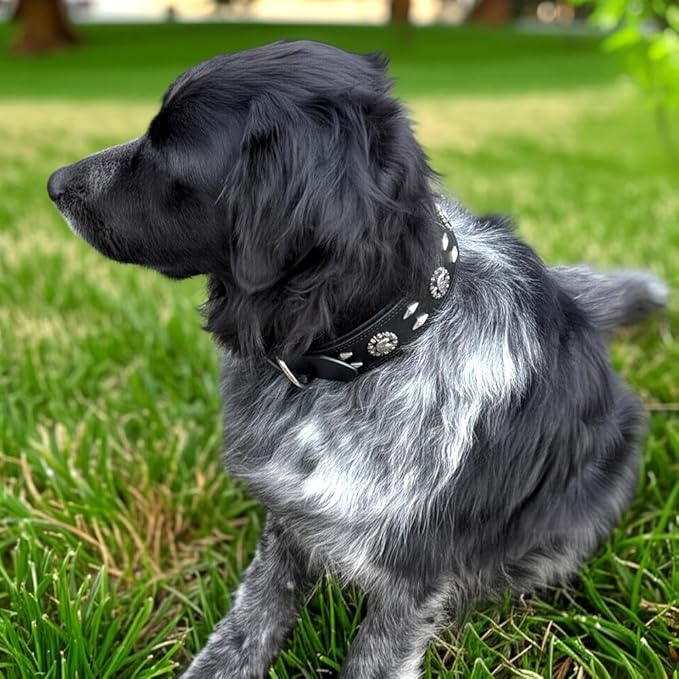 Premium Leather Dog Collar for Large Dogs - 2-Inch Wide Adjustable Soft Handmade Heavy Duty Collar for Giant Breeds, Durable & Comfortable - Black (M)