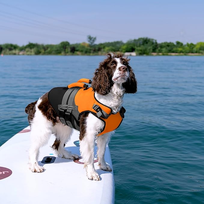 Kuoser Dog Life Jacket High Flotation, Dog Life Vest for Swimming Boating, Reflective Small Dogs Swimsuit Lifejacket, Pet Life Preserver with Double Rescue Handle, Yellow, S