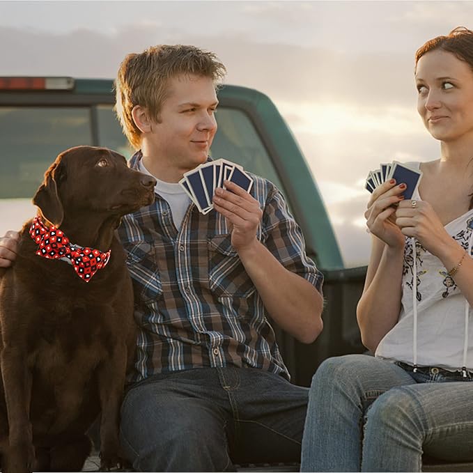 Dog Collar, Adjustable Bow Collar for Girl or Boy Dogs - Small to Large Sizes