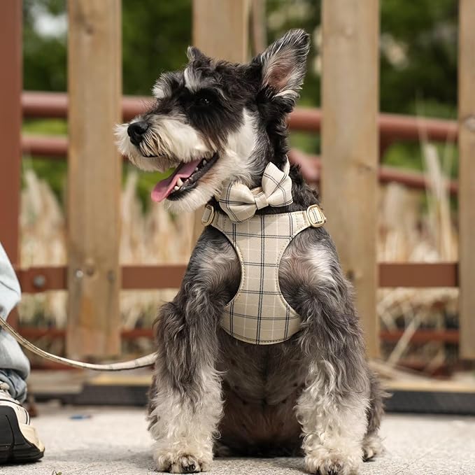 Beirui Cute Small Dog Harness Collar and Leash Set with Bowtie, Soft Adjustable Plaid Puppy Harness for Small Sized Dogs Cats Walks Parties and Photoshoots(Beige,XXS:Chest 12-14")