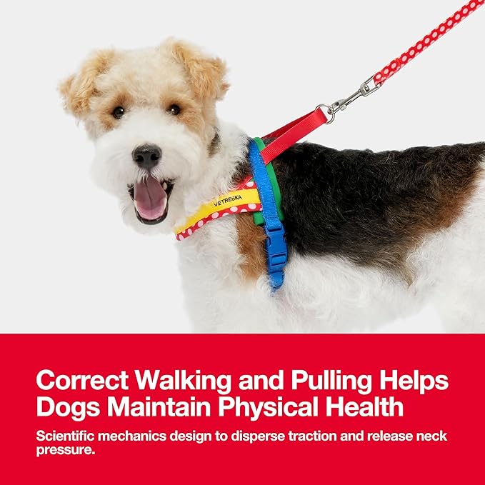 VETRESKA MoMA Dog Harness and Leash Set, No-Pull Puppy Harness for Walking and Training, Easy Walk Dog Harness for Small Medium Dogs, Adjustable, Take Control & Anti-Twist Pet Lead Combo (Red, S)
