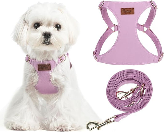 PUPTECK Dog Harness and Leash Set Small Sized, Step-in Cute Puppy Harness, Soft Lightweight Padded Vest, Escape Proof No Pull Pet Harnesses Easy for Walking, Purple, XXS