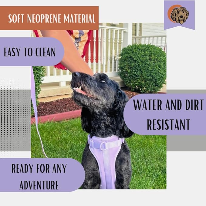 Tito's Closet Large Dog Harness and Leash Set, Soft Neoprene Material, No Pull Dog Harness, Purple, Large