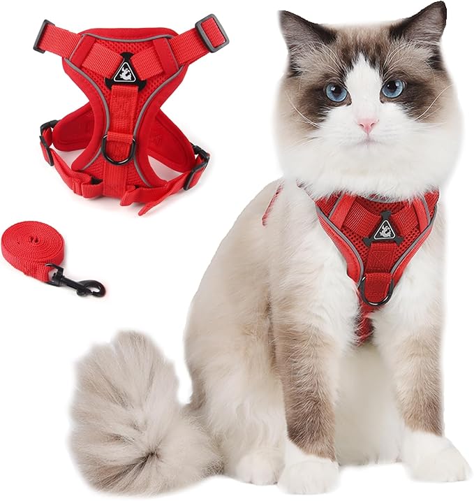 Cat Harness and Leash Set, Cat Escape Proof Adjustable Vest with Lead for Kitten Puppy Outdoor Walking, Soft Breathable Mesh Jacket with Reflective Strips (M, Red)