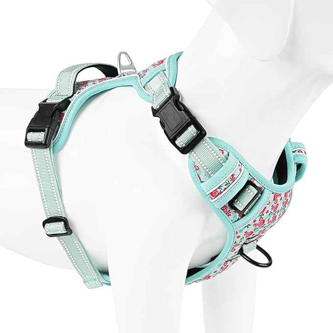 Timos Dog Harness, No-Pull Pet Harness with 2 Leash Clips, Adjustable Soft Padded Dog Vest, Reflective Outdoor Pet Oxford Vest with Easy Control Handle,Cyan,XS