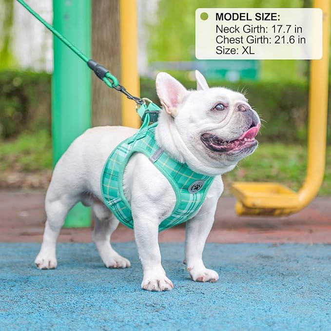 BEAUTYZOO Small Dog Harness and Leash Set,Step in No Choke No Pull Soft Mesh Dog Harnesses Reflective for Extra-Small/Small Medium Puppy Dogs and Cats, Plaid Dog Vest Harness for XS S Pets,Turquoise M