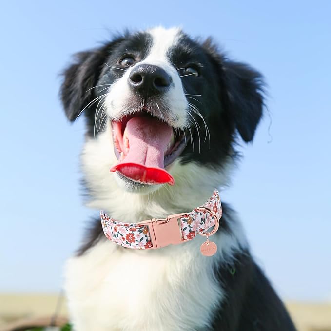 Dog Collar for Summer,Little Flower Dog Collar,Cotton Puppy Collar with Adjustable Buckle for Small,Medium,Large Girl Boy Dog, PinkYe CC