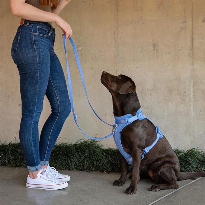 King Macks Dog Harness Set with Collar and Leash, Waste Bag Holder and Dirty Waste Bag Clip, Adjustable for Small/Medium/Large Dogs, Lightweight (Blue with Green, Large)