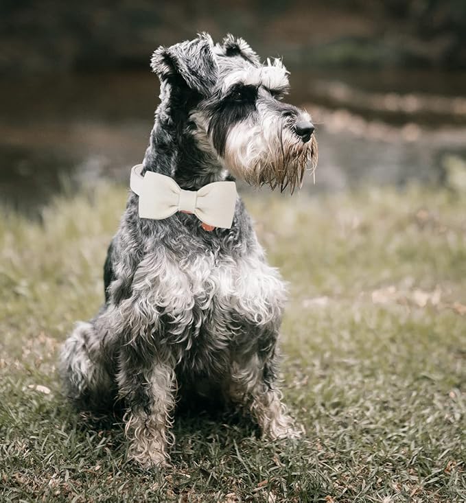 DOGWONG Cotton Dog Collar with Bow, Adjustable Wedding Collar for Small to Large Dogs