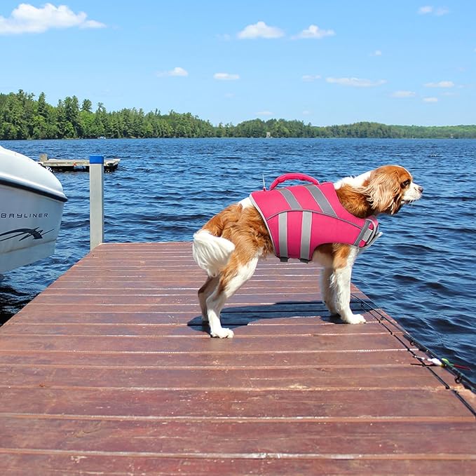 Kuoser Medium Dog Life Jackets - Reflective Swim Vests for Beach & Boating, Pink