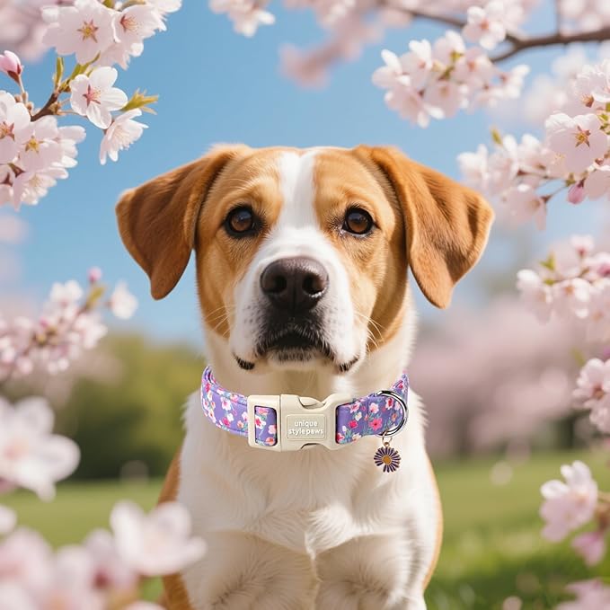 Unique style paws Dog Collar Plastic Buckle with Pendant Blue Colorful Flowers Puppy Collars for Small Medium Large Boys Girls Dogs