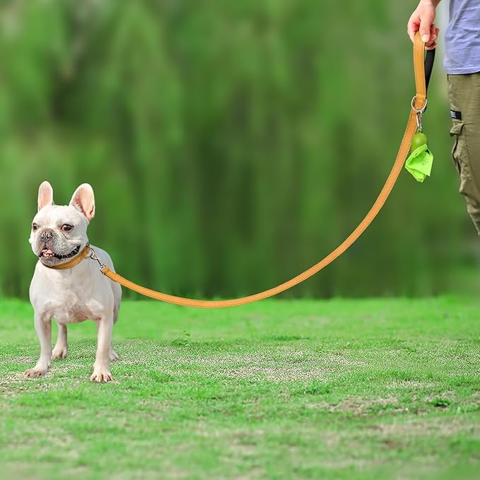 Joytale Double-Sided Reflective Dog Leash, 6 FT/5 FT/4 FT, Padded Handle Nylon Heavy Duty Leashes for Small & Medium Dogs Walking, Khaki, 5FT